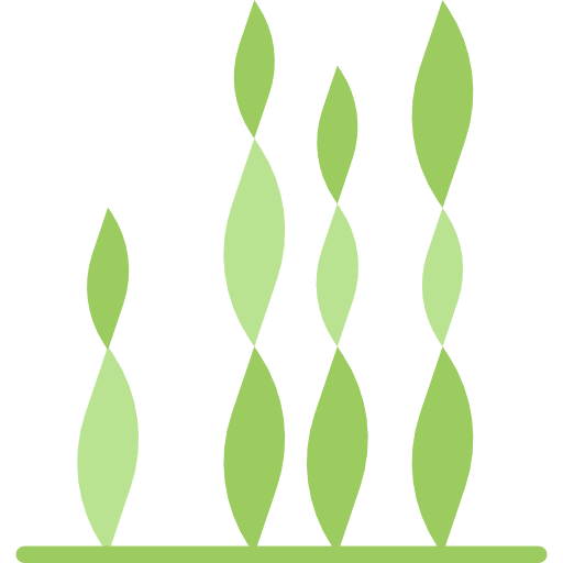 Seaweed animal animals aquatic icon