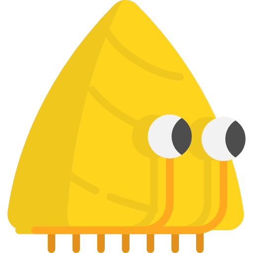 Hermit crab aquarium hermit crab animals icon