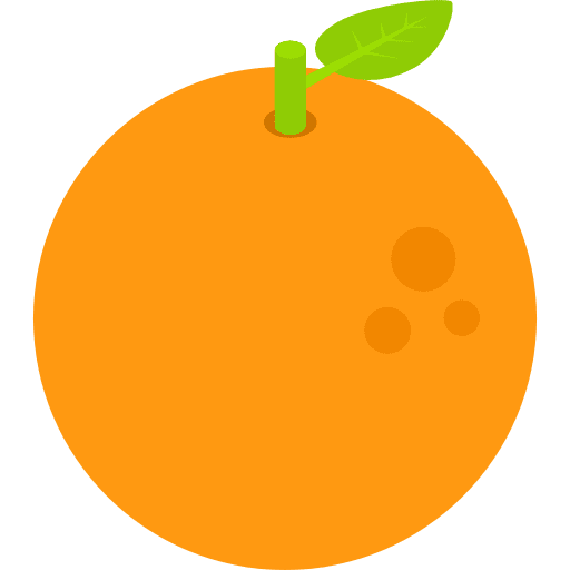 Orange orange organic vegetarian icon