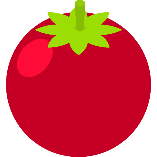 Tomato vegan fruit tomato icon