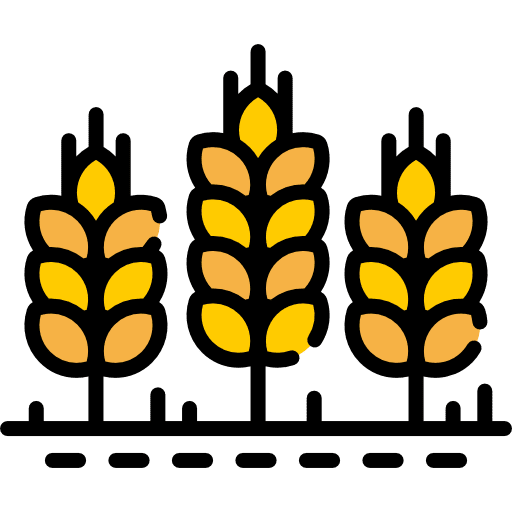 Wheat food barley wheat icon