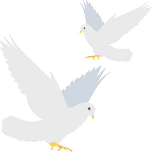 Dove dove animals pigeon icon