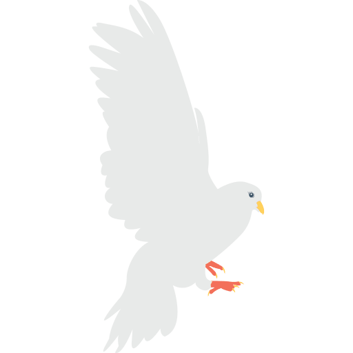 Dove peace pigeon bird icon