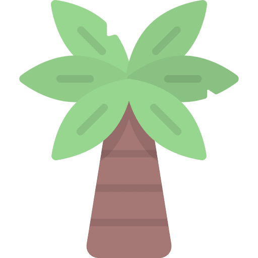 Palm tree beach nature botanical icon