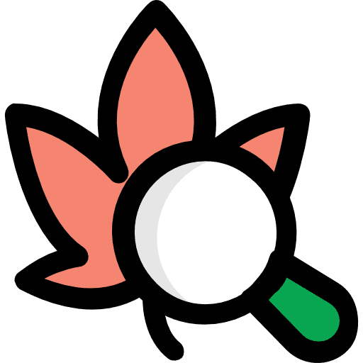Organic leaf plant ecology icon