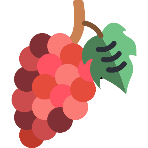 Grapes vegan fruit food icon