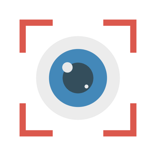 Focus security business interface icon