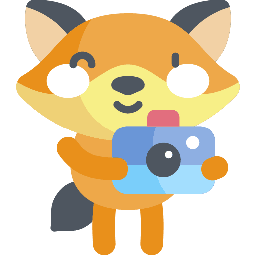 Photographer design tools fox art and design icon