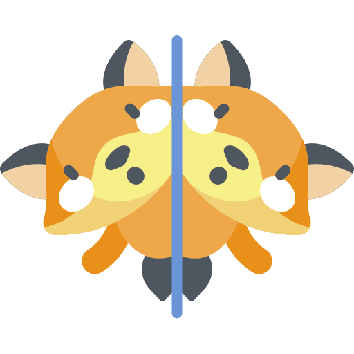 Mirror mirror graphic designer art and design icon