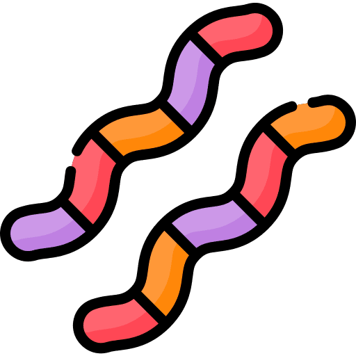 Gummy sugar candy gummy icon