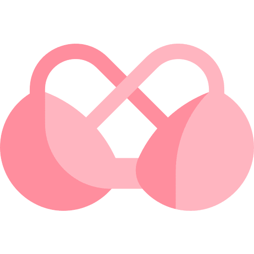 Bra clothes femenine clothing icon