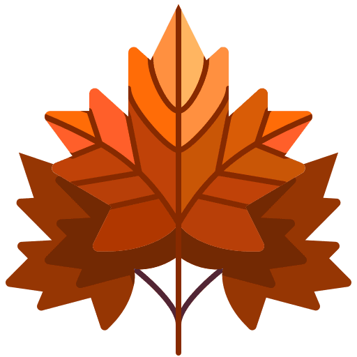 Maple leaf maple leaf leaf botanical icon