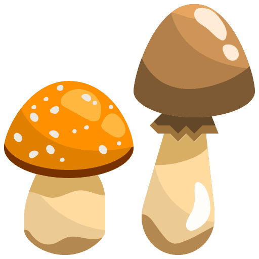 Mushroom gastronomy diet nature icon