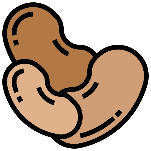 Bean nutrition bean beans icon