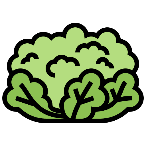 Cauliflower vegetarian vegetable ingredient icon
