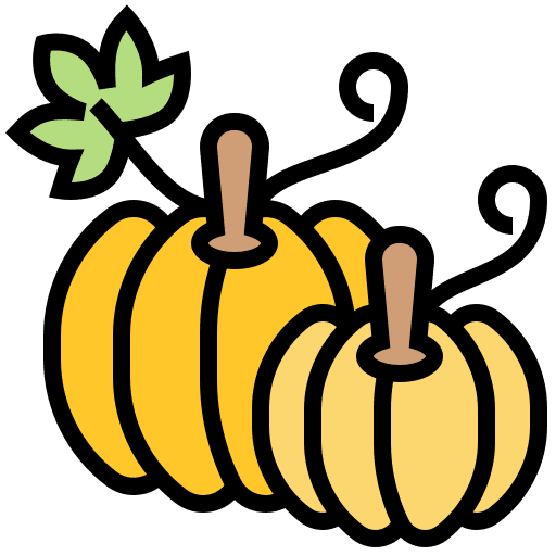 Pumkin diet vegetarian healthy food icon