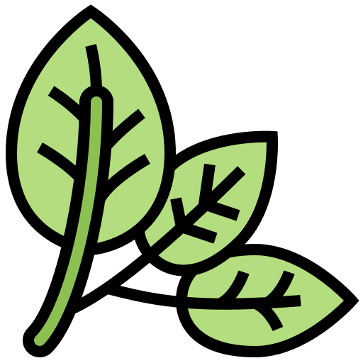 Spinach organic vegan diet icon