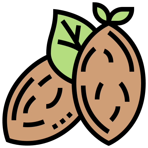 Almond fruit vegetarian nuts icon