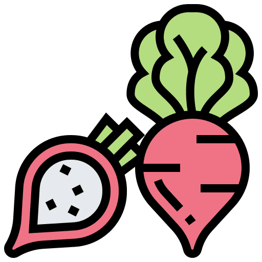 Radish salad healthy food natural icon