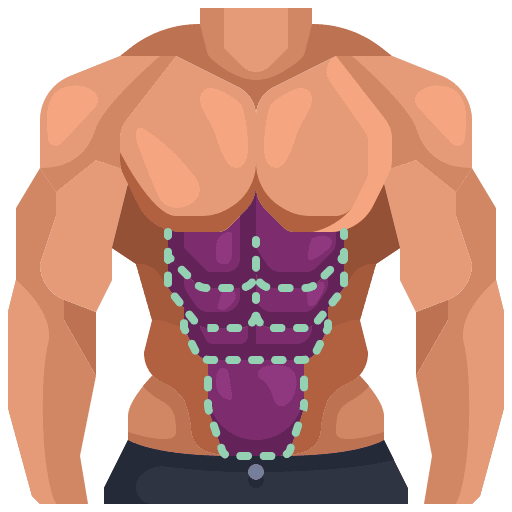 Male anatomy body part muscle icon