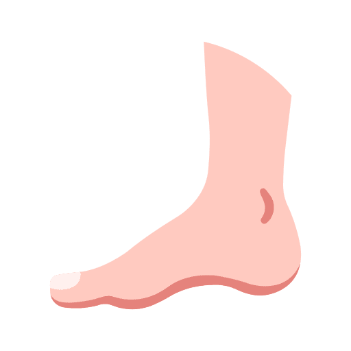 Foot human anatomy body icon