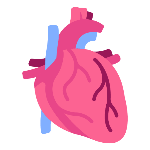 Heart heart healthcare and medical human icon