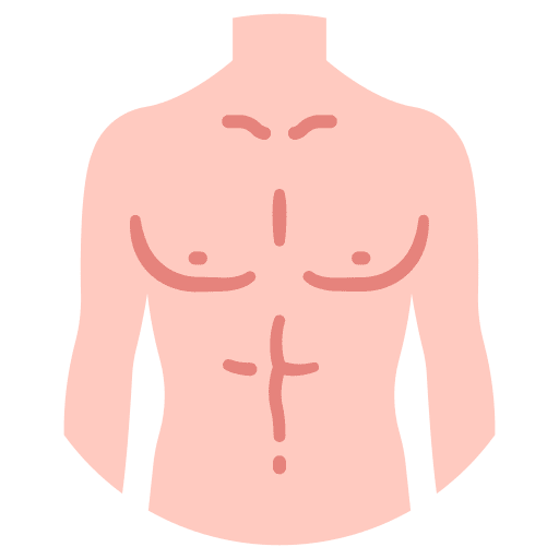 Human body body person anatomy icon