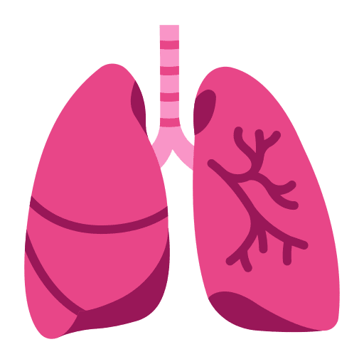 Lung body healthcare and medical lung icon