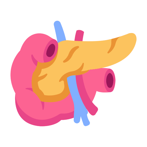 Pancreas organ internal organ healthcare and medical icon
