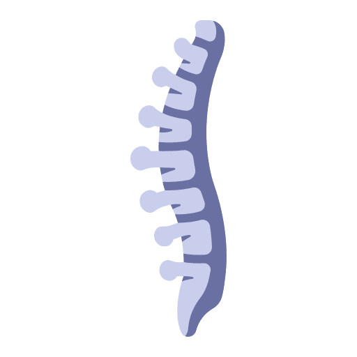 Spine healthcare and medical skeleton human icon