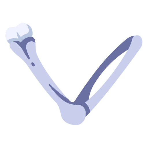 Arm skeleton bone joint icon