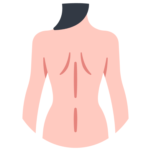 Back back healthcare and medical anatomy icon