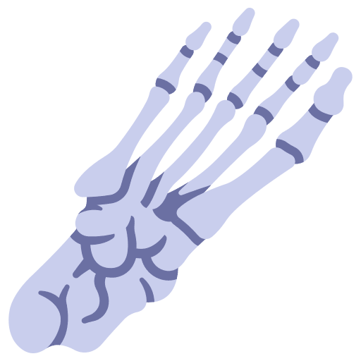 Foot bone foot anatomy icon