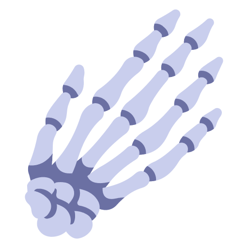 Hand bones healthcare and medical body human icon