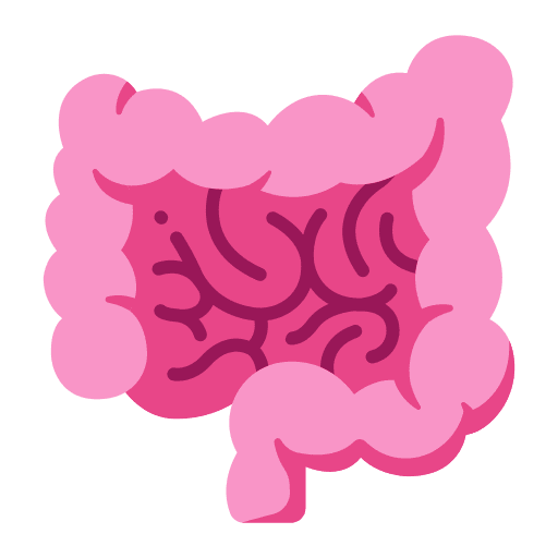 Intestine body appendix organ icon