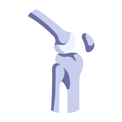 Knee joint human knee icon