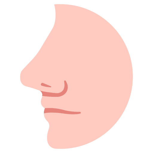 Nose smell nose body icon
