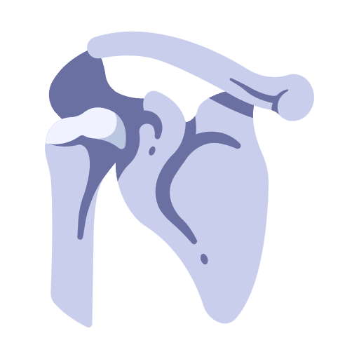 Shoulder shoulder human medical icon