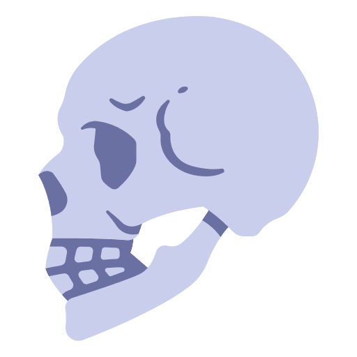 Skull human head skull icon