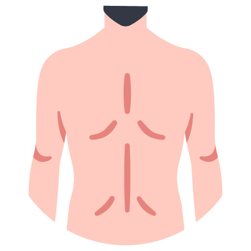 Back back anatomy human icon
