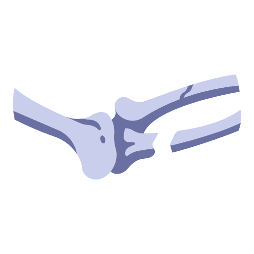 Broken bone broken broken bone bone icon