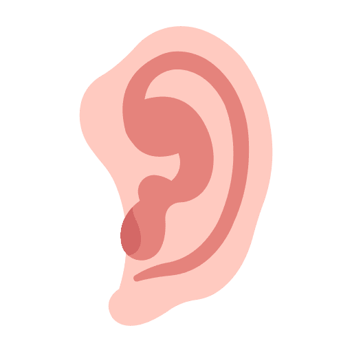 Ears human sound body icon