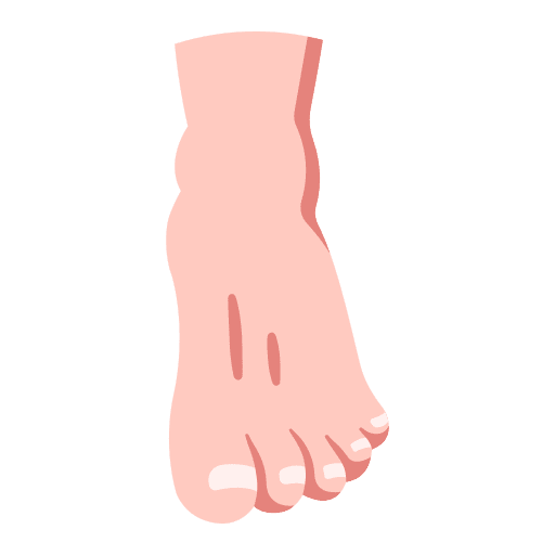 Foot anatomy human people icon