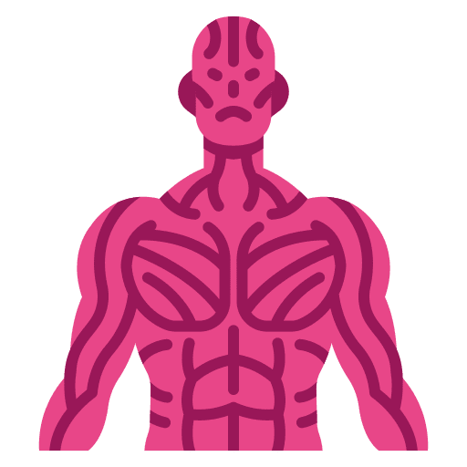 Muscle muscle physical organ icon