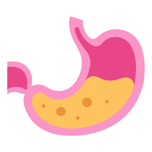 Stomach medical internal organ body icon