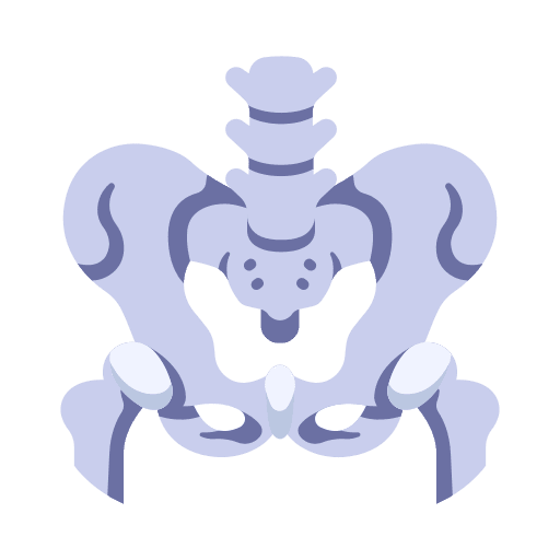 Waist body waist bone icon