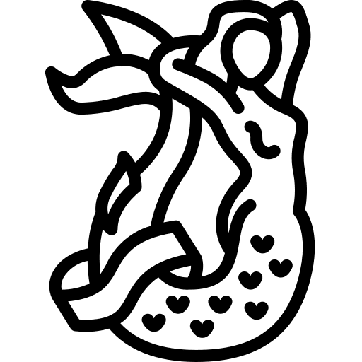 Mermaid fantasy costume mermaids icon