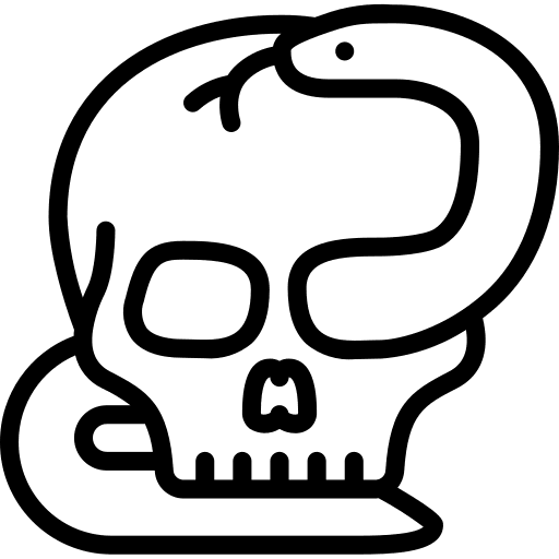 Skull vintage art and design snakes icon