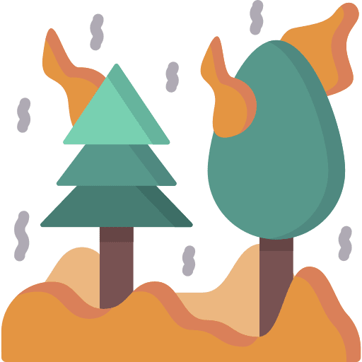 Wildfire natural disaster forest tree icon
