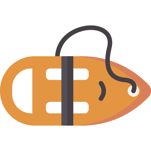 Rescue buoy life saver security lifeguard icon